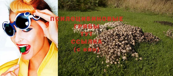 дмт Аркадак
