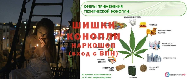 дмт Аркадак