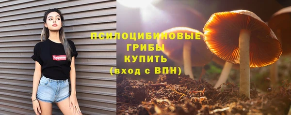 ешки Баксан