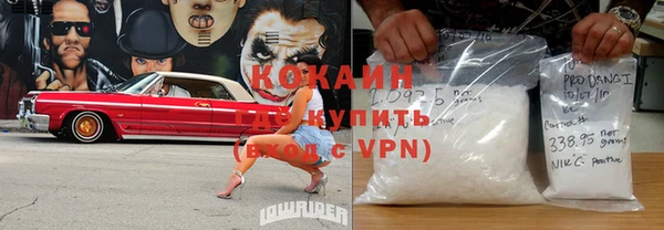 спайс Арсеньев